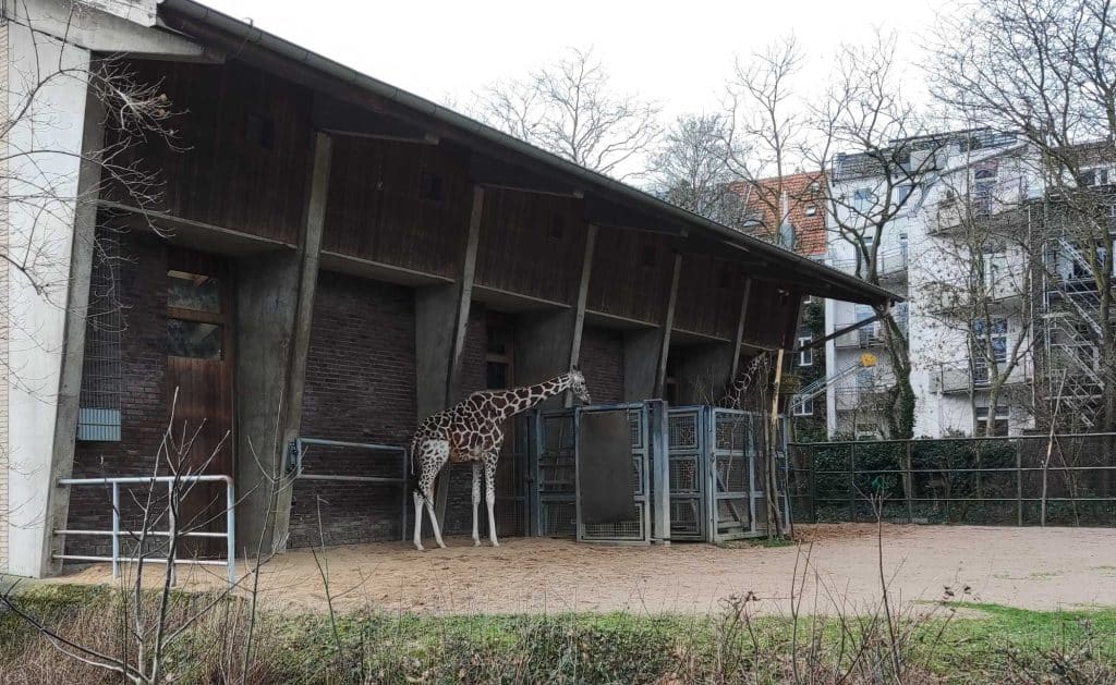 Kölner Zoo