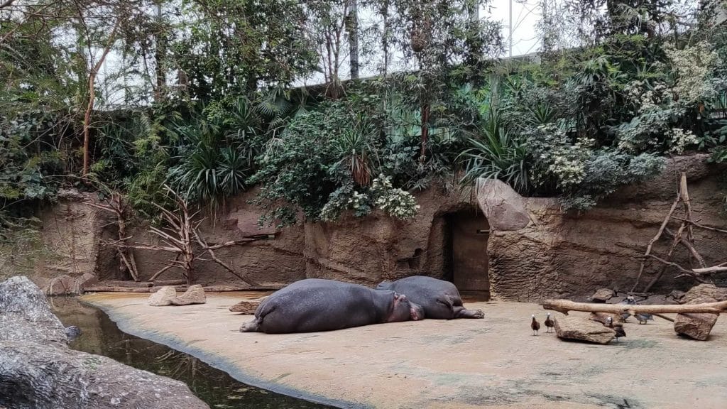Kölner Zoo