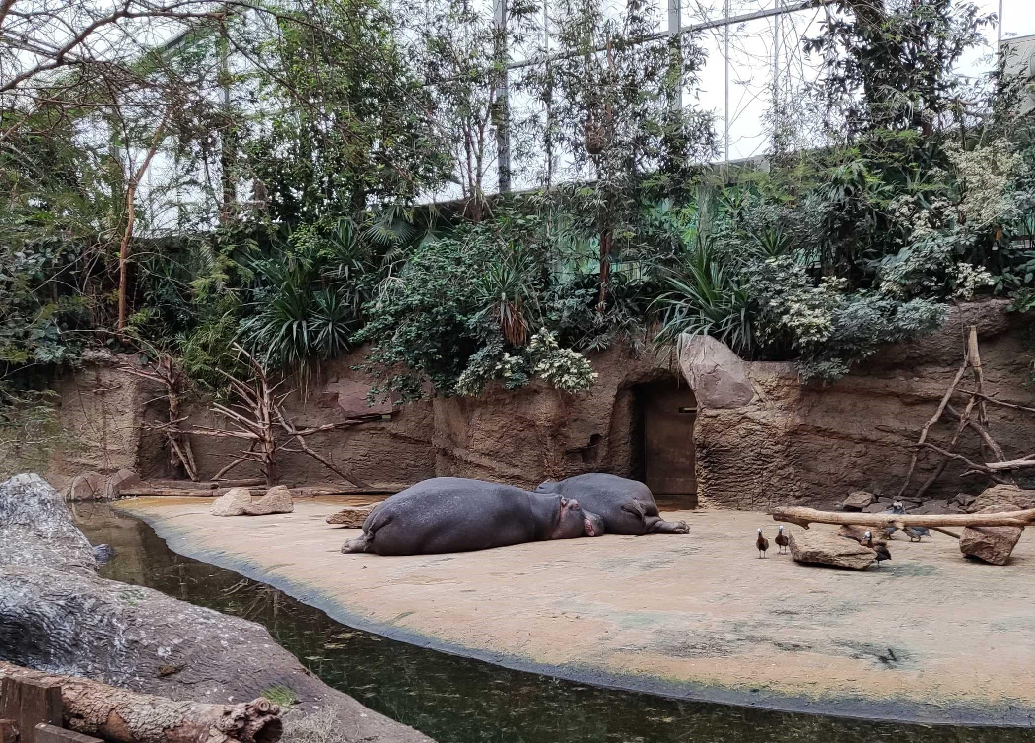 Kölner Zoo