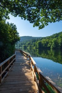 Dschungelpfad Heimbach: Mit Kindern Wandern, Natur genießen und frische Luft atmen!