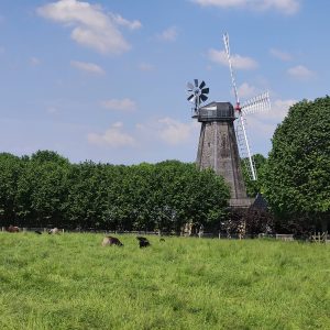 Glessener Mühlenhof: traumhaftes Bauernhoferlebnis für kölner Stadtfamilien!