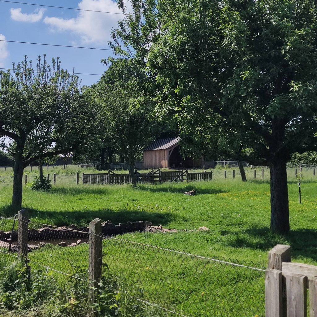 Glessener Muehlenhof Tiere